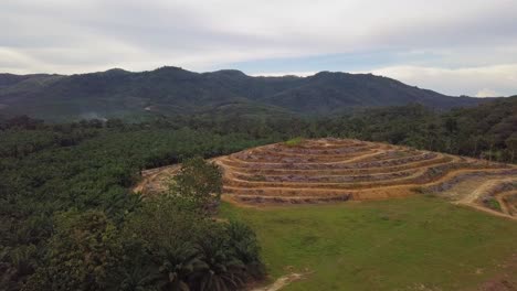 Aerial-view-oil-palm-plantation-cleared-at-Kedah,-Malaysia.